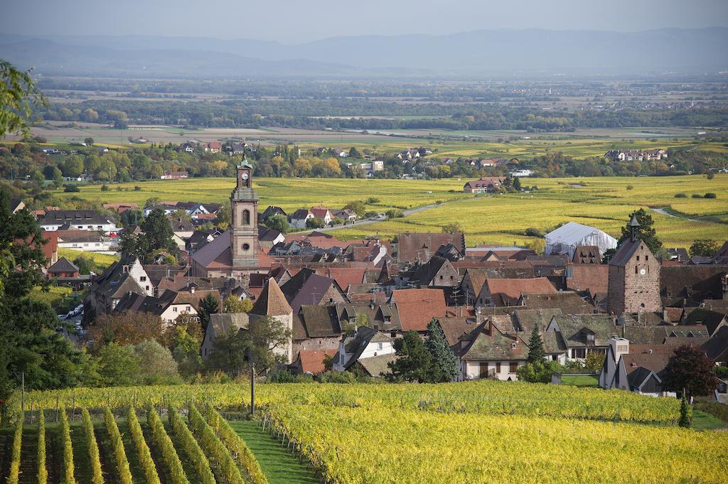 Maison Rebleuthof Villa Riquewihr Bagian luar foto